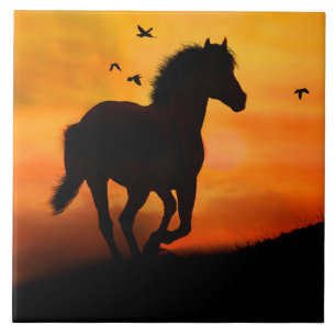 Carreau Randonnée à cheval au coucher du soleil avec ois