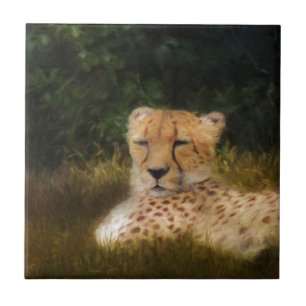 Carreau Recenser Cheetah au Fossil Rim Wildlife Centre