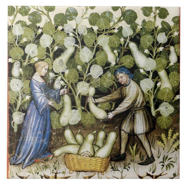 CARREAU RÉCOLTE ANTIQUE SQUASH (Devant)