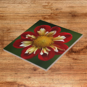 Carreau Red Dahlia sur Green Floral