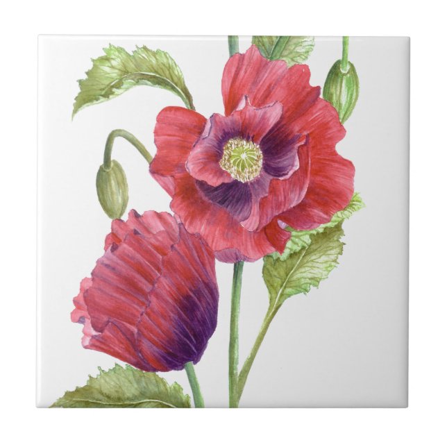 Carreau Red Poppies Floral Art (Devant)