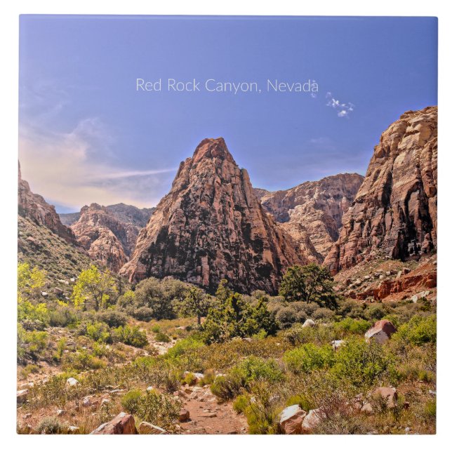 Carreau Red Rock Canyon, Nevada (Devant)