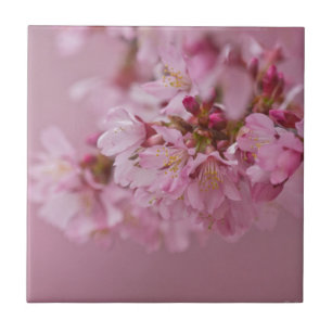 Carreau Reflets Rose Pâle des Fleurs de Cerisier Sakura