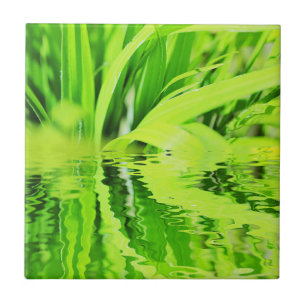 Carreau Réflexion d'herbe verte brillante