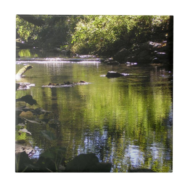 Carreau Réflexions (Devant)