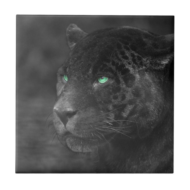 Carreau Regard d'émeraude de Jaguars noirs (Devant)