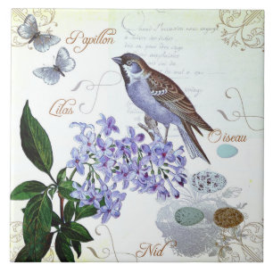 Carreau Regard vintage de collage floral français d'oisea
