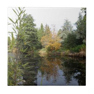 Carreau Relaxing garden scene picture, beautiful trees