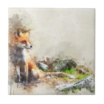 Renard dans la peinture sauvage