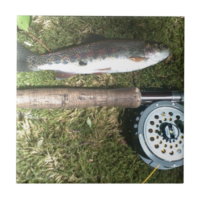 Carreau renfly fishing reel (Devant)