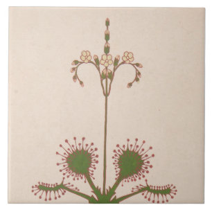 Carreau Repro Vintage Floral Print 