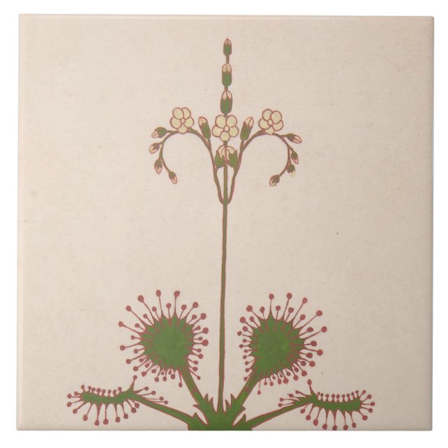 Carreau Repro Vintage Floral Print  (Devant)