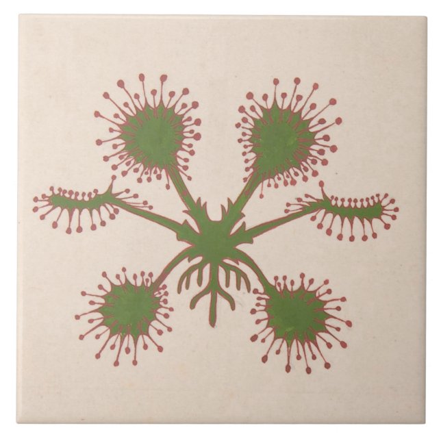 Carreau Repro Vintage imprimé floral (Devant)