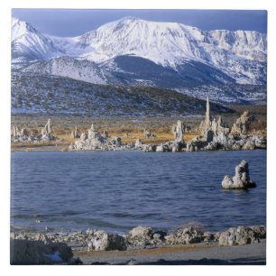 CARREAU RÉSERVE NATURELLE ÉTATIQUE DE MONO LAKE TUFA,