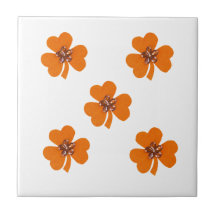 Ressort orange, orangé pour cuisine