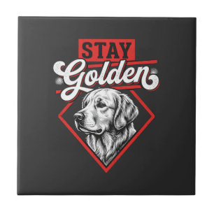 Carreau Restez Golden Golden Retriever Chien