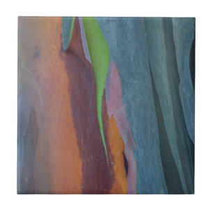 Carreau Résumé de l'arbre à gomme arc-en-ciel