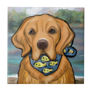 Carreau Retriever doré