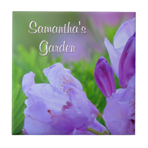 Carreau Rhododendron après le jardin personnalisé par