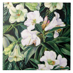 Carreau Rhododendron de l'Inde du Nord