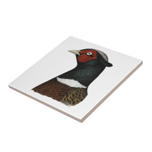 Carreau Ringneck Pheasant Head
