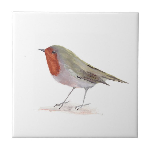 Carreau Robin Oiseau Faune Aquarelle Vintage colorée (Devant)