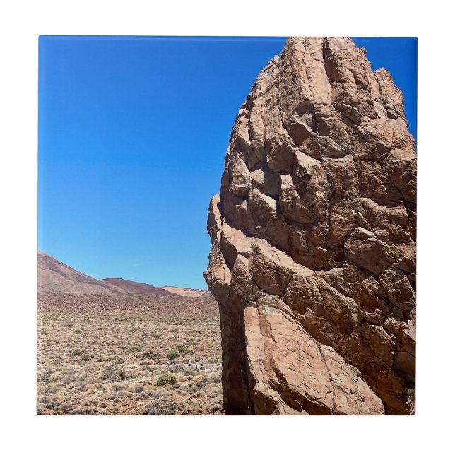 Carreau Roche sculptée (Devant)