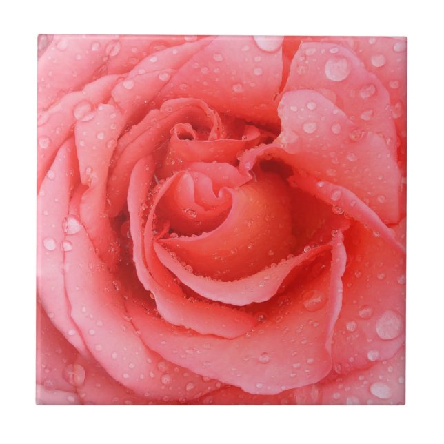 Carreau Romantique Rose rose rouge gouttes d'eau (Devant)