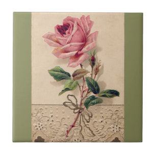 Carreau Rose de rose et cru Romance floral de dentelle