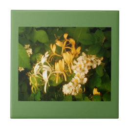 Carreau Rose en fleurs sauvages Honeysucké Carrelage en cé