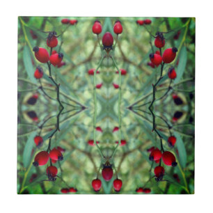 Carreau Rose hanche Abstrait Photographie Carrelage photo