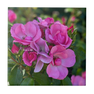 Carreau rose lavande