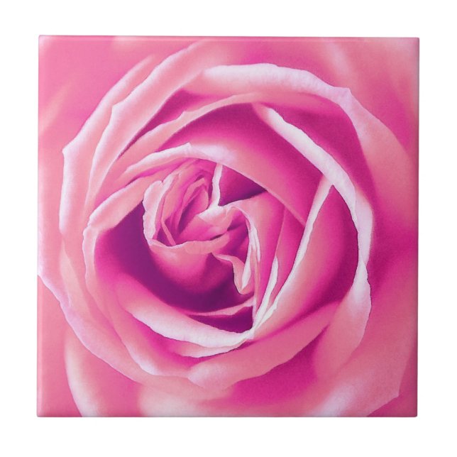 Carreau rose rose rose (Devant)