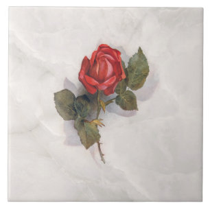 Carreau Rose rouge élégante sur marbre gris BG