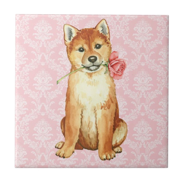 Carreau Rose Valentin Shiba Inu (Devant)