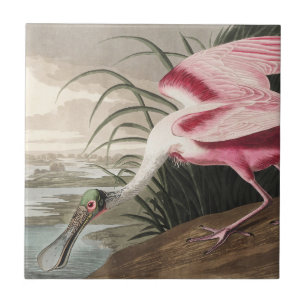 Carreau Roseate Spoonbill Art Vintage Audubon