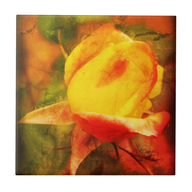 Carreau Rosebud Art Floral Peinture photo détenue  (Devant)