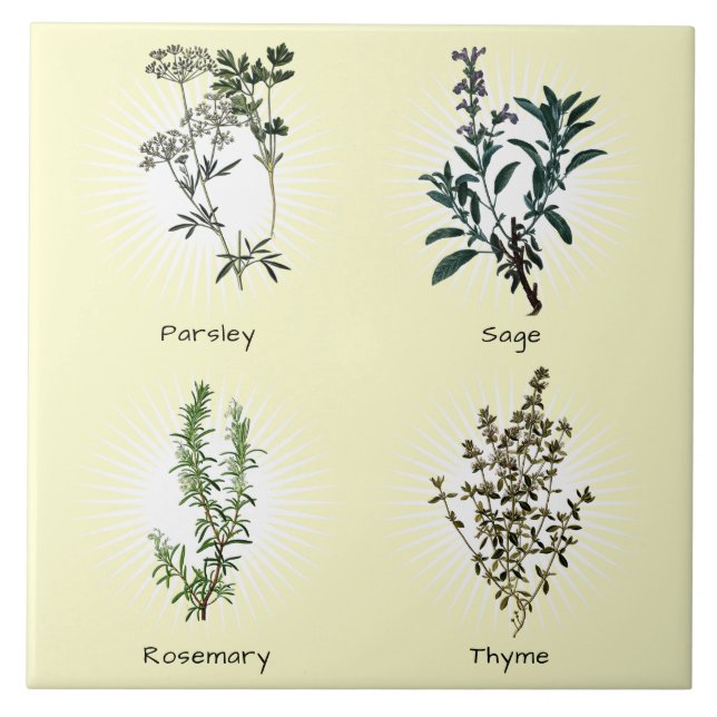 Carreau Rosemary de la tige de persil et Herbes de thym (Devant)