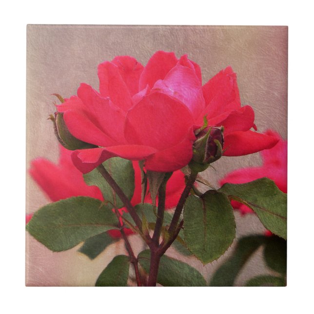 Carreau Roses rouges (Devant)
