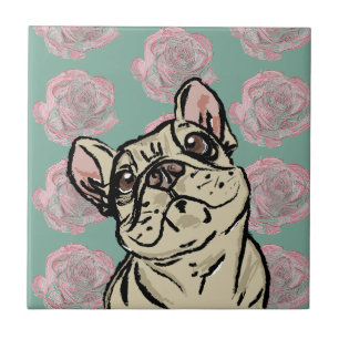 Carreau Rosier Frenchie