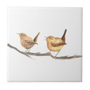 Carreau Rouges-gorges cuisine vintage rustique Oiseaux Boi