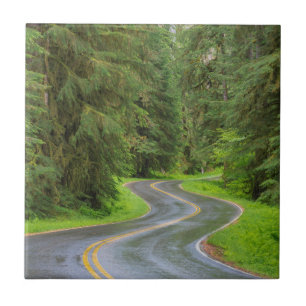 Carreau Route de la rivière Sol Duc à travers la forêt