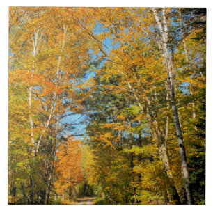 Carreau Route rurale couleurs d'automne New Hampshire