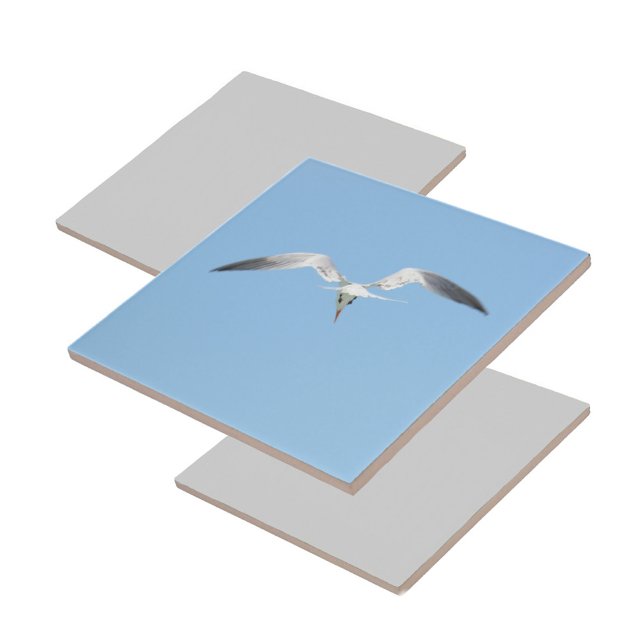 Carreau Royal Tern en vol Bleu côtier (1 of 7 coordinating coastal Terns in flight ceramic tiles)