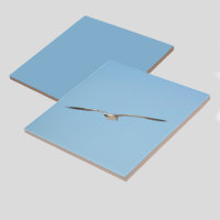 Royal Tern en vol Blue Sky Coastal