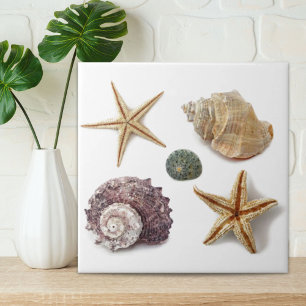Carreau ruc coastal beach chic seashell starfish