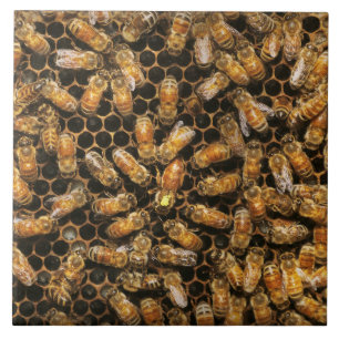 Carreau Rucher - Abeille - Salut à la reine