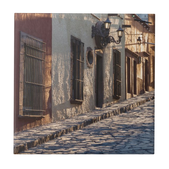 Carreau Rue pavée de Mexico (Devant)