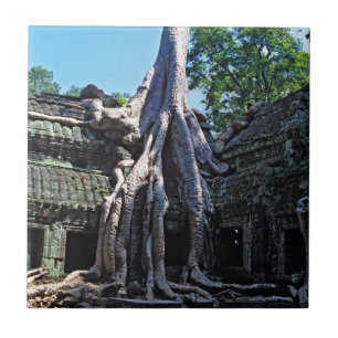 Carreau Ruine de Ta Prohm - Angkor Vat, Cambodge, Asie