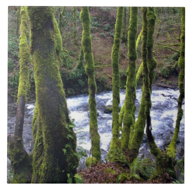 Carreau Runoff from Bridal Veil Falls (Devant)